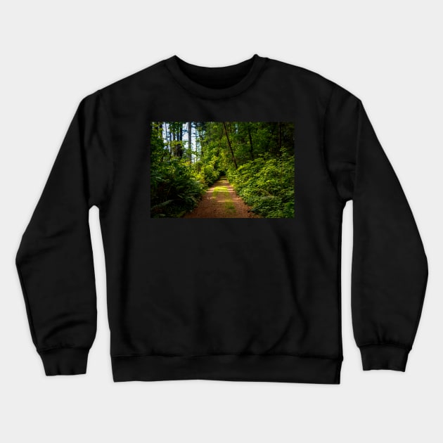 Hiking path at golden hour Crewneck Sweatshirt by blossomcophoto